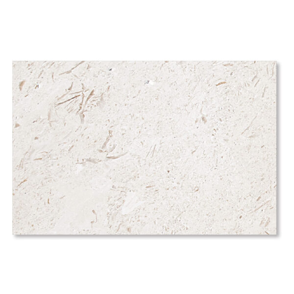White Shell Limestone Shell Stone Limestone 1-1/4x16x24 Tumbled Paver | STONE-MORE NATURAL STONE